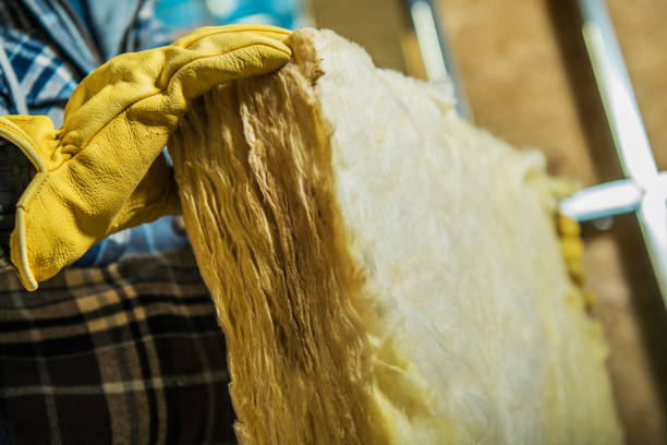 Best Insulation Maintenance and Repair in Olympia, WA