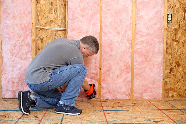 Best Insulation for Specific Applications in Olympia, WA