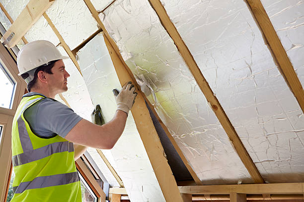 Best Insulation Maintenance and Repair in Olympia, WA